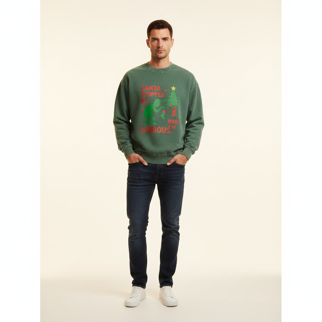 Grinch fest Sweatshirt