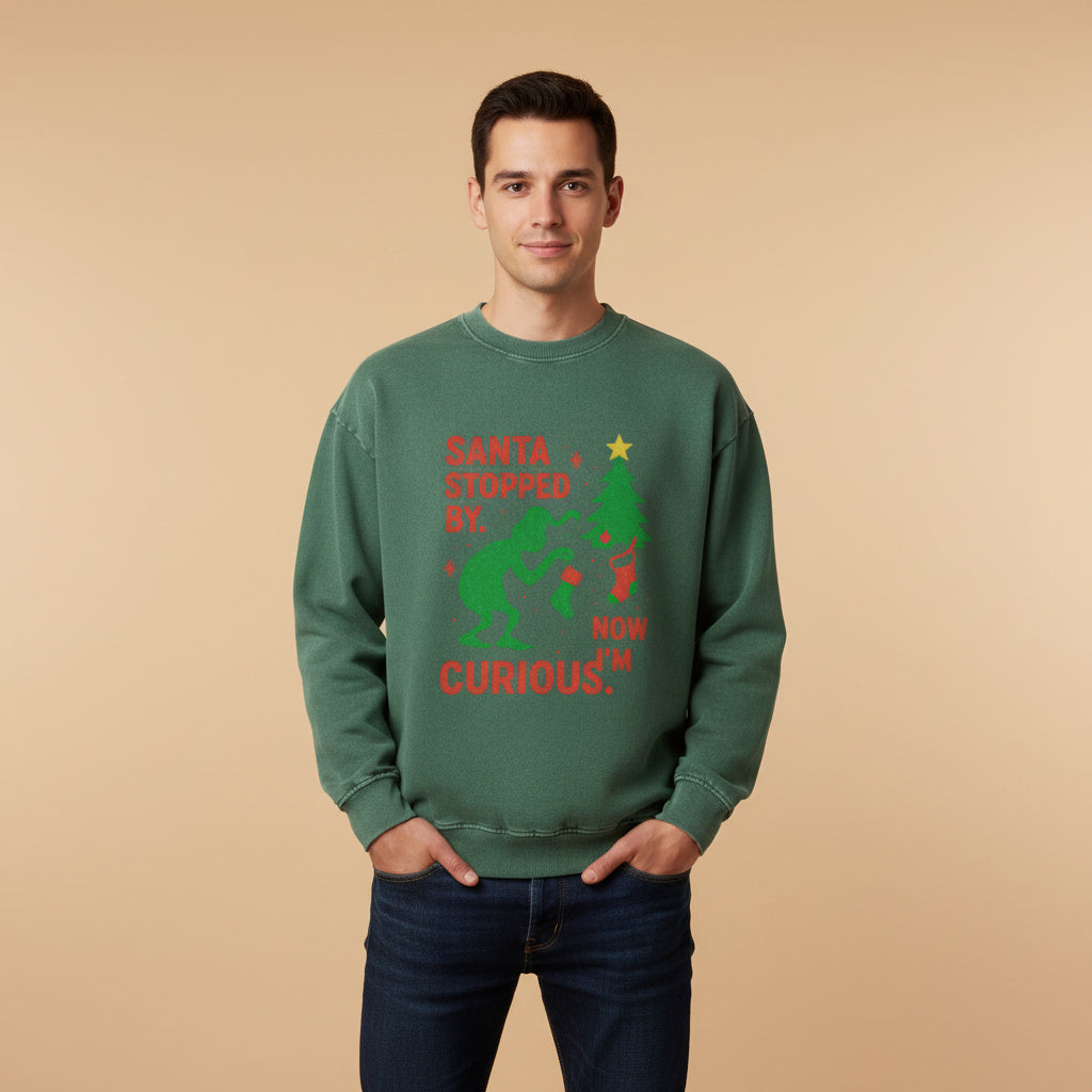 Grinch fest Sweatshirt