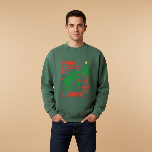 Grinch fest Sweatshirt
