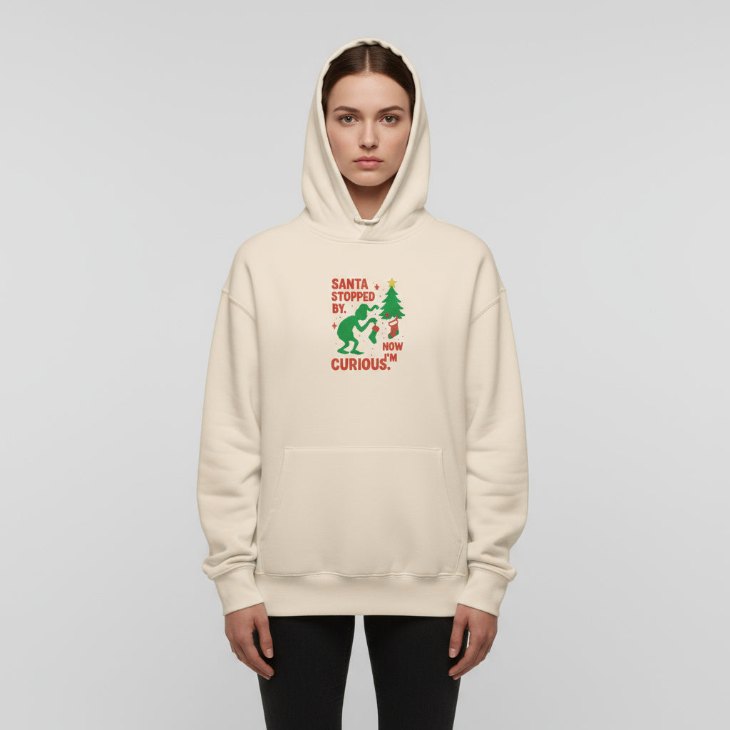 Luxe Holiday Oversized Hoodie
