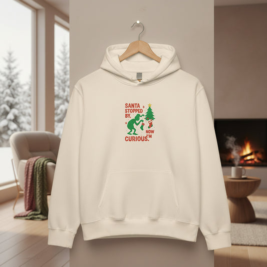 Luxe Holiday Oversized Hoodie